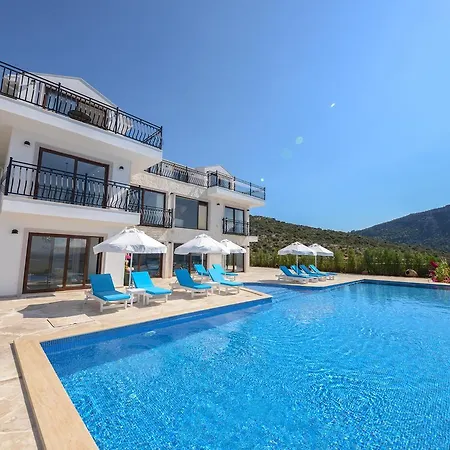 Asfiya * Kalkan